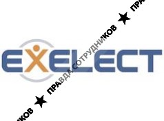 Кадровое агентство Exelect (ИП Баландин М.Ю.)